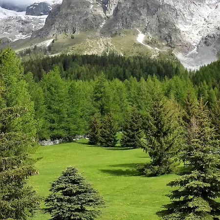Belvedere Hotel Courmayeur