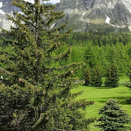 Belvedere Hotel Courmayeur