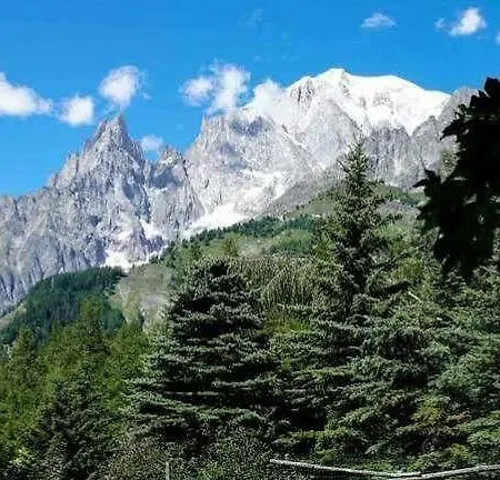 Belvedere 2*