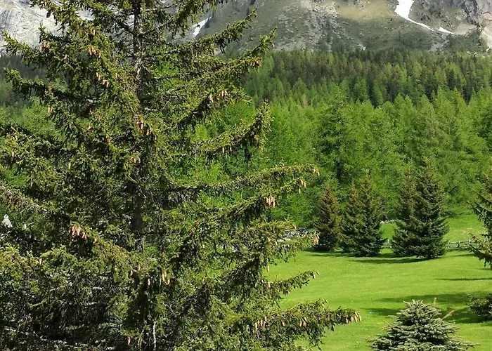 Belvedere Hotell Courmayeur